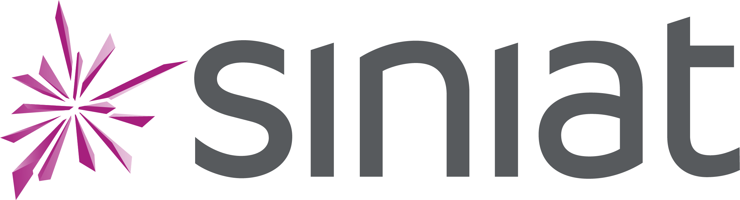 logo siniat